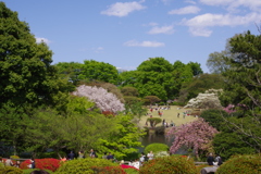 春の新宿御苑