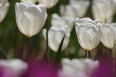 054