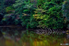 骨のある？風景