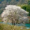 DSCF0009