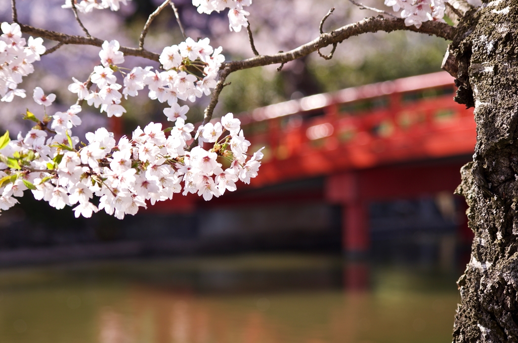 神社にて