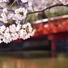 神社にて