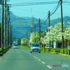 夏のような日