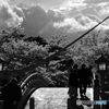 神様にお目にかかりに