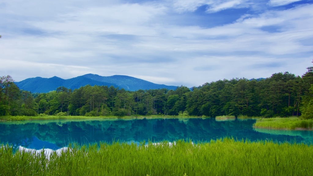 弁天沼から西吾妻山