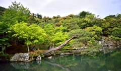 5月5日　嵐山３