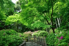 5月5日　嵐山１