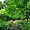 5月5日　嵐山１