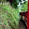5月5日　嵐山トロッコ列車１