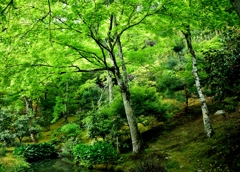 5月5日　嵐山２