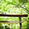 5月5日　嵐山５