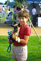 子犬と少年