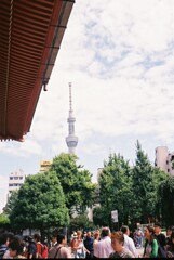 浅草寺からの晴空塔