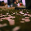 本物は其々