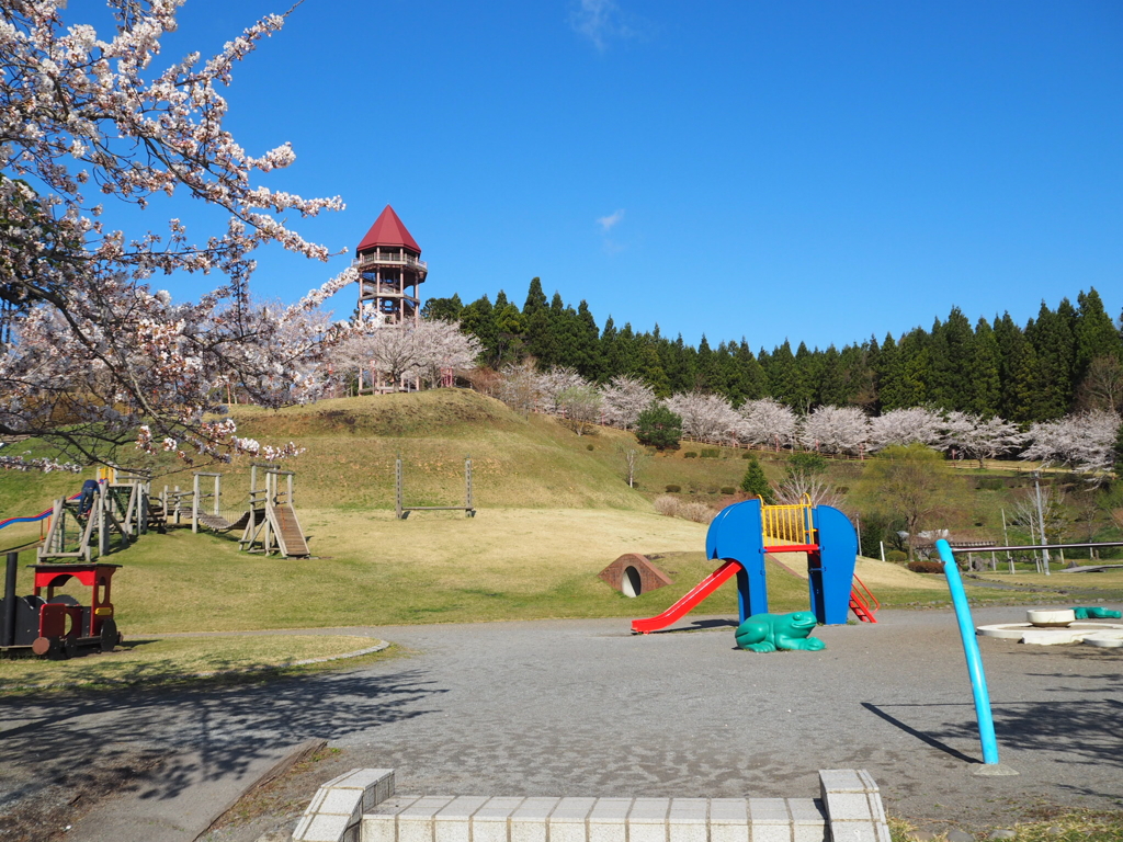 朝の公園