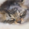 朝ですよ　＾＾