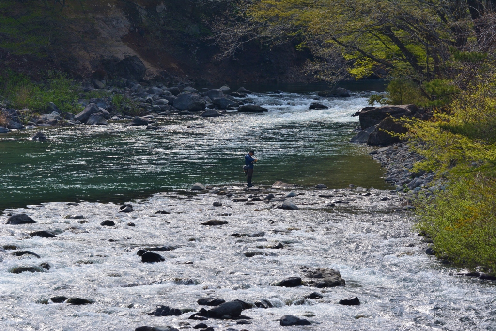 川の真中に立ち