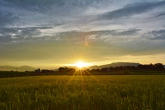 一月ぶりの夕暮れ