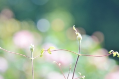 夢の中の仲良し時間