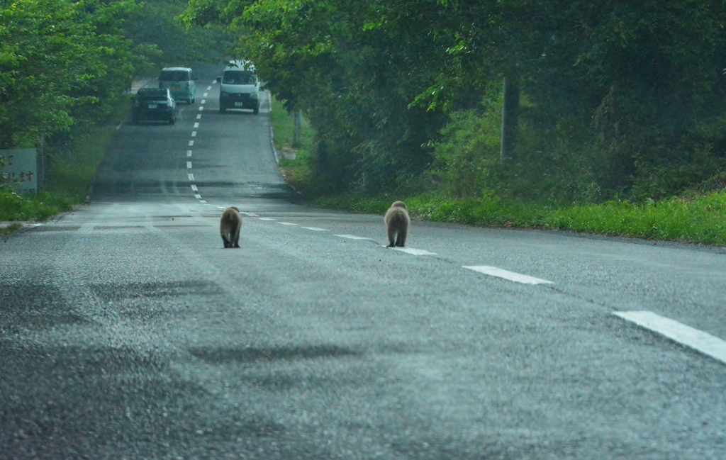ぼくらはみんな生きている ２