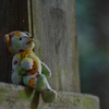 山門で待っていてくれたクマくん