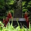 橋渡る夏の想い出