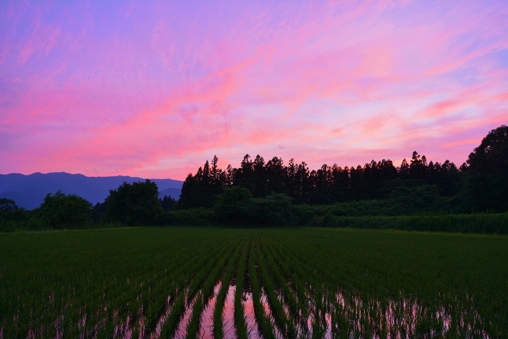 素敵な夕暮れ