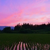 素敵な夕暮れ