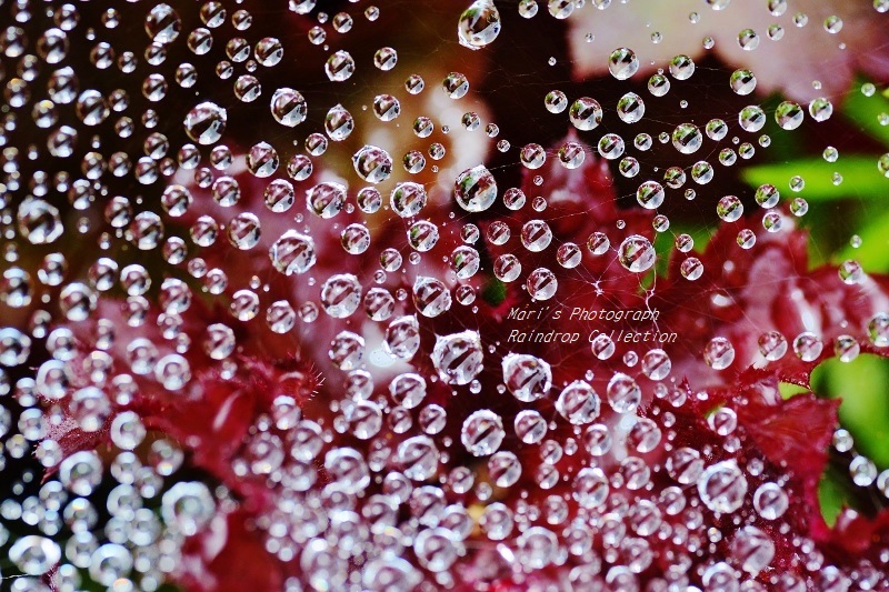 この雨のひと粒になりたい