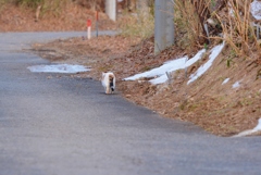 The Long And Winding Road 