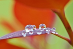 Raindrop