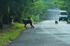 ぼくらはみんな生きている ３