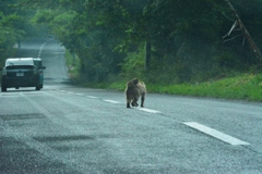 ぼくらはみんな生きている １
