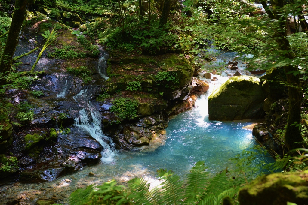 沢の美しさ