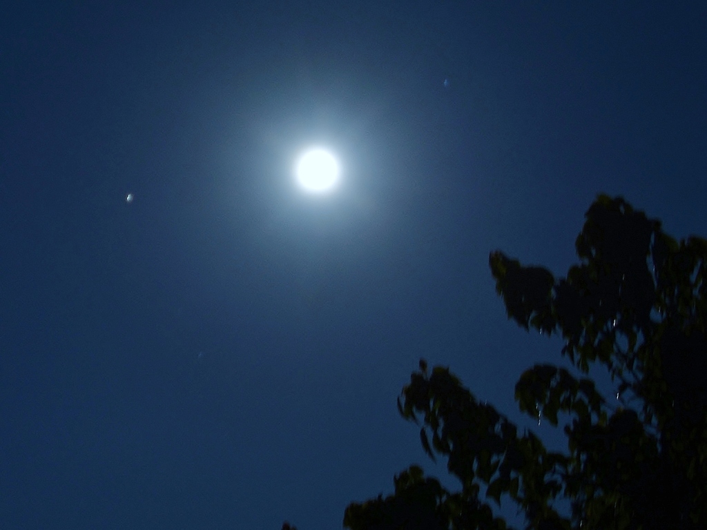 月は星に語り掛ける