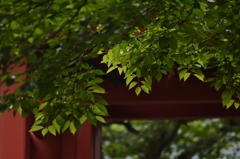文月への手紙　Ⅰ