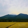宝の山