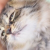 ほらほら　起きて　＾＾