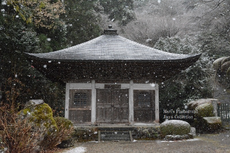 雪待つ心　