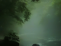 霧中