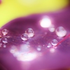 雨の吐息