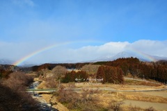 春への懸け橋