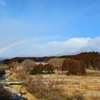 春への懸け橋