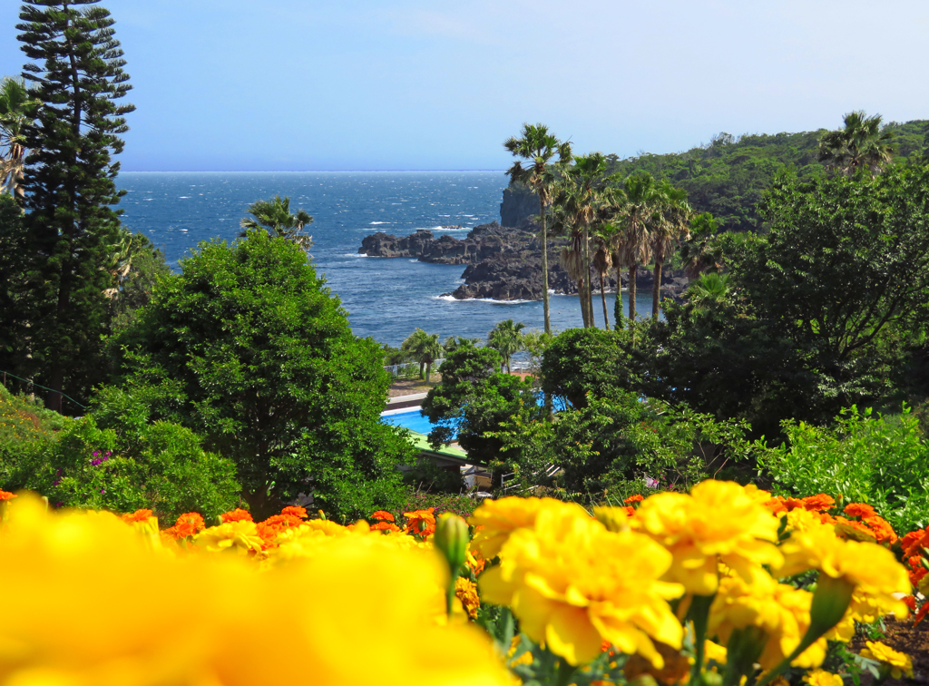 城ヶ崎　海岸