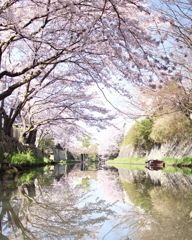 八幡堀
