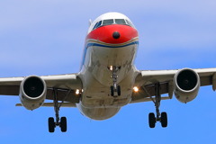 飛行機7