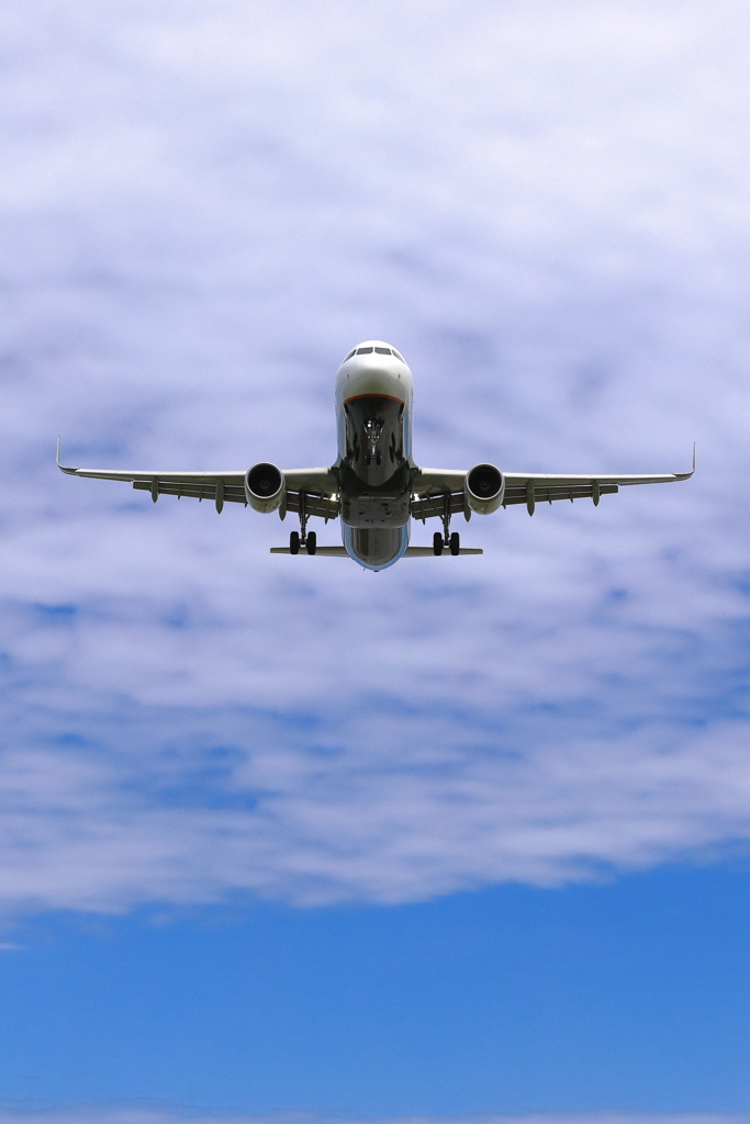 飛行機5