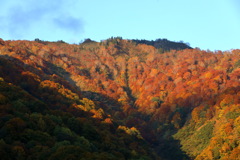 山、燃ゆる