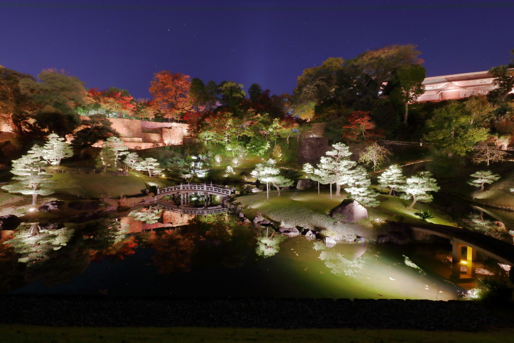 玉泉院_秋の陣1