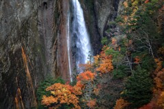 紅葉と見下ろす称名滝